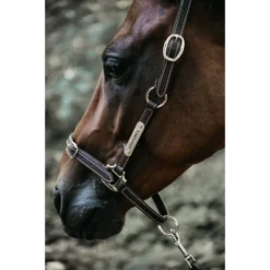 Kentucky Horsewear Flexible Leather Head Collar UK | Just Equine 11 Kentucky Horsewear Flexible Leather Head Collar UK | Just Equine -Horse Haven Shop Kentucky Horsewear Leather Head Collar Flexible 1