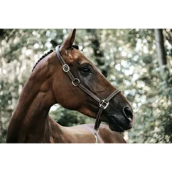 Kentucky Horsewear Flexible Leather Head Collar UK | Just Equine