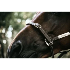 Kentucky Horsewear Flexible Leather Head Collar UK | Just Equine 8 Kentucky Horsewear Flexible Leather Head Collar UK | Just Equine -Horse Haven Shop Kentucky Horsewear Leather Head Collar Flexible 4