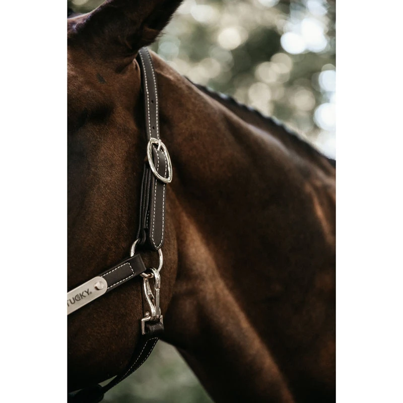 Kentucky Horsewear Flexible Leather Head Collar UK | Just Equine 2 Kentucky Horsewear Flexible Leather Head Collar UK | Just Equine - Image 2