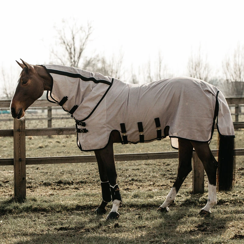 Kentucky Horsewear Mesh Fly Rug UK | Just Equine 5 Kentucky Horsewear Mesh Fly Rug UK | Just Equine - Image 5