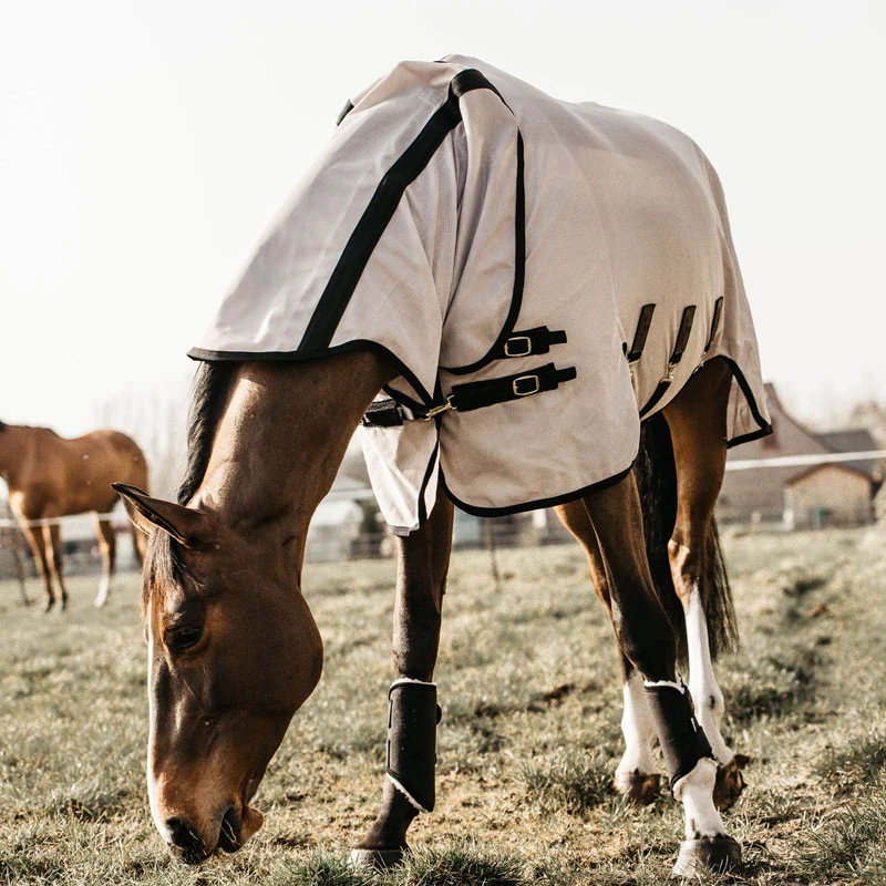 Kentucky Horsewear Mesh Fly Rug UK | Just Equine 1 Kentucky Horsewear Mesh Fly Rug UK | Just Equine