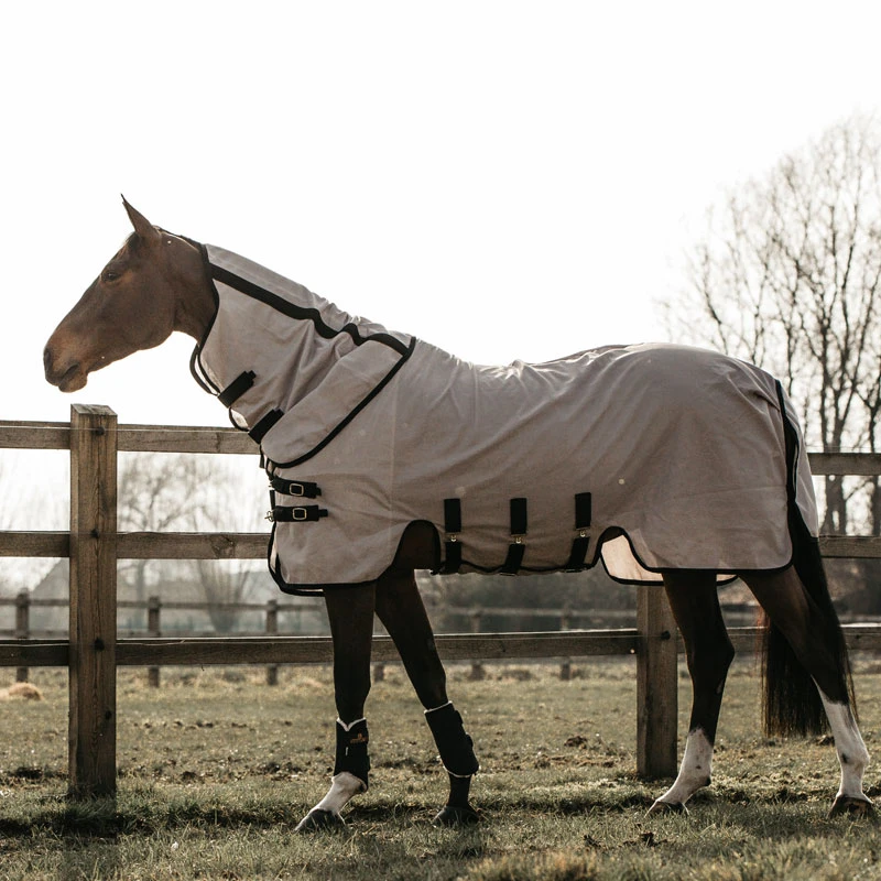Kentucky Horsewear Mesh Fly Rug UK | Just Equine 2 Kentucky Horsewear Mesh Fly Rug UK | Just Equine - Image 2