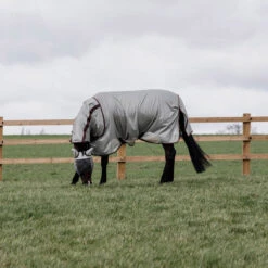 Kentucky Horsewear Mesh Fly Rug Classic UK | Just Equine 10 Kentucky Horsewear Mesh Fly Rug Classic UK | Just Equine -Horse Haven Shop Kentucky Horsewear Mesh Fly Rug Classic 1