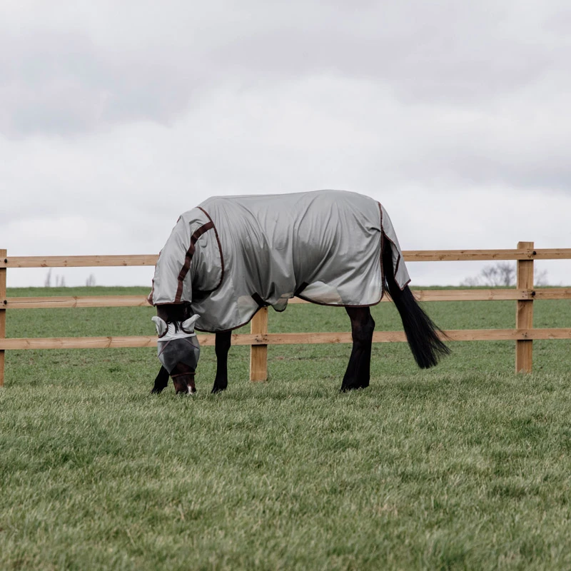 Kentucky Horsewear Mesh Fly Rug Classic UK | Just Equine 5 Kentucky Horsewear Mesh Fly Rug Classic UK | Just Equine - Image 5