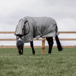 Kentucky Horsewear Mesh Fly Rug Classic UK | Just Equine 9 Kentucky Horsewear Mesh Fly Rug Classic UK | Just Equine -Horse Haven Shop Kentucky Horsewear Mesh Fly Rug Classic 2