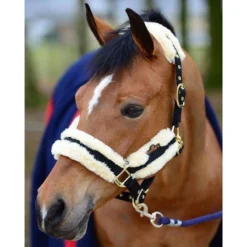 Kentucky Nylon Sheepskin Headcollar UK | Just Equine -Horse Haven Shop Kentucky Horsewear Nylon Sheepskin Headcollar