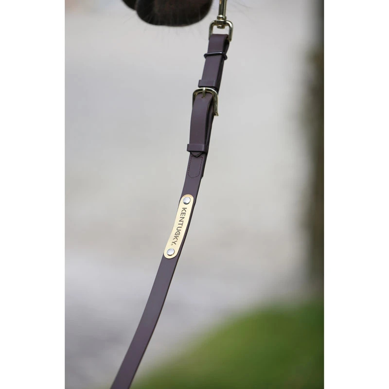 Kentucky Horsewear Presentation Lead Rein UK | Just Equine 1 Kentucky Horsewear Presentation Lead Rein UK | Just Equine