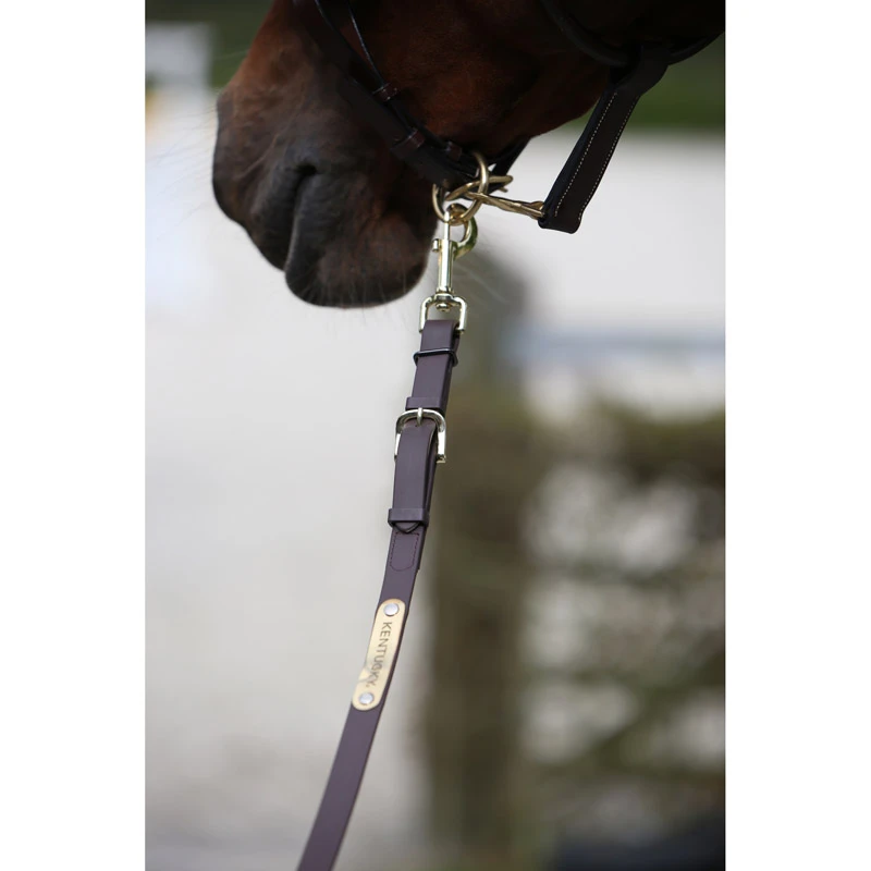 Kentucky Horsewear Presentation Lead Rein UK | Just Equine 2 Kentucky Horsewear Presentation Lead Rein UK | Just Equine - Image 2