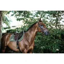 Kentucky Horsewear Quilted Saddle Pad Colour Edition UK | Just Equine 22 Kentucky Horsewear Quilted Saddle Pad Colour Edition UK | Just Equine -Horse Haven Shop Kentucky Horsewear Quilted Saddle Pad Colour Edition Khaki 2