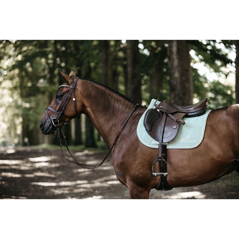 Kentucky Horsewear Quilted Saddle Pad Colour Edition UK | Just Equine 6 Kentucky Horsewear Quilted Saddle Pad Colour Edition UK | Just Equine - Image 6