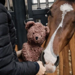 Kentucky Horsewear Relax Horse Toy Teddy Bear UK | Just Equine