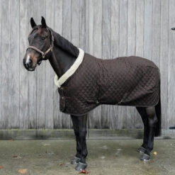 NEW Kentucky Horsewear Show Rug - Brown UK | Just Equine -Horse Haven Shop Kentucky Horsewear Show Rug Brown 12