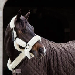 NEW Kentucky Horsewear Show Rug - Brown UK | Just Equine