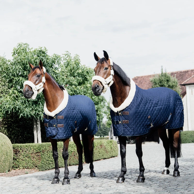 Kentucky Horsewear Show Rug - Navy UK | Just Equine 2 Kentucky Horsewear Show Rug - Navy UK | Just Equine - Image 2
