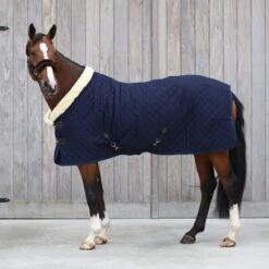 Kentucky Horsewear Show Rug - Navy UK | Just Equine