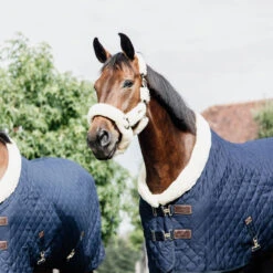 Kentucky Horsewear Show Rug - Navy UK | Just Equine 8 Kentucky Horsewear Show Rug - Navy UK | Just Equine -Horse Haven Shop Kentucky Horsewear Show Rug Navy 3