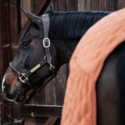 Kentucky Horsewear Show Rug - Autumn Orange UK | Just Equine -Horse Haven Shop Kentucky Horsewear Show Rug Orange 2