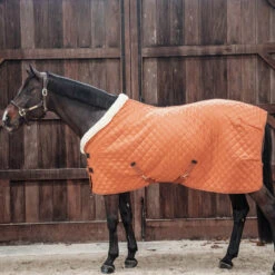 Kentucky Horsewear Show Rug - Autumn Orange UK | Just Equine