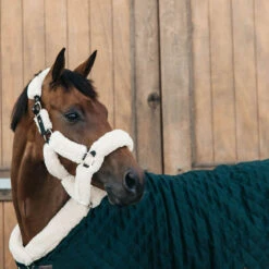 Kentucky Horsewear Show Rug - Pine Green UK | Just Equine -Horse Haven Shop Kentucky Horsewear Show Rug Pine Green 1
