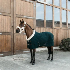 Kentucky Horsewear Show Rug - Pine Green UK | Just Equine -Horse Haven Shop Kentucky Horsewear Show Rug Pine Green 2