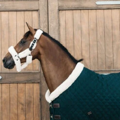 Kentucky Horsewear Show Rug - Pine Green UK | Just Equine