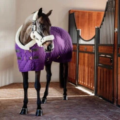 Kentucky Horsewear Purple Show Rug UK