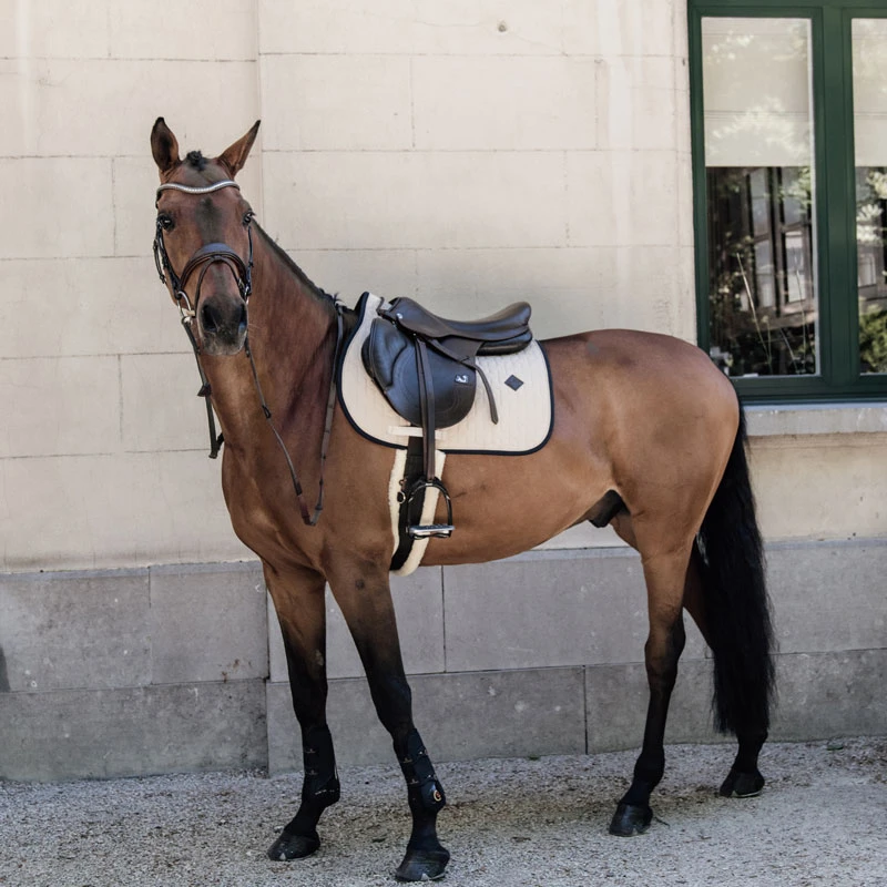 Kentucky Horsewear Softshell Saddle Pad UK | Just Equine 2 Kentucky Horsewear Softshell Saddle Pad UK | Just Equine - Image 2