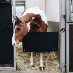 Kentucky Horsewear Stable Guard - Black UK | Just Equine