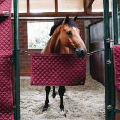 Kentucky Horsewear Stable Guard - Bordeaux UK | Just Equine