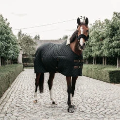 Kentucky Horsewear Stable Rug - Black UK | Just Equine