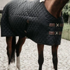 Kentucky Horsewear Stable Rug - Black UK | Just Equine -Horse Haven Shop Kentucky Horsewear Stable Rug Black Close Up
