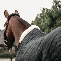 Kentucky Horsewear Stable Rug - Black UK | Just Equine -Horse Haven Shop Kentucky Horsewear Stable Rug Black Rear View