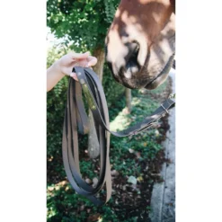 Kentucky Horsewear Stallion Lead UK | Just Equine