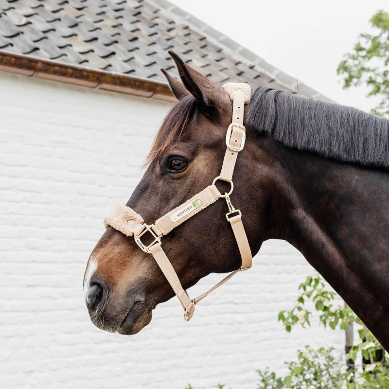 Kentucky Horsewear Teddy Fleece Head Collar - Beige UK | Just Equine 2 Kentucky Horsewear Teddy Fleece Head Collar - Beige UK | Just Equine - Image 2