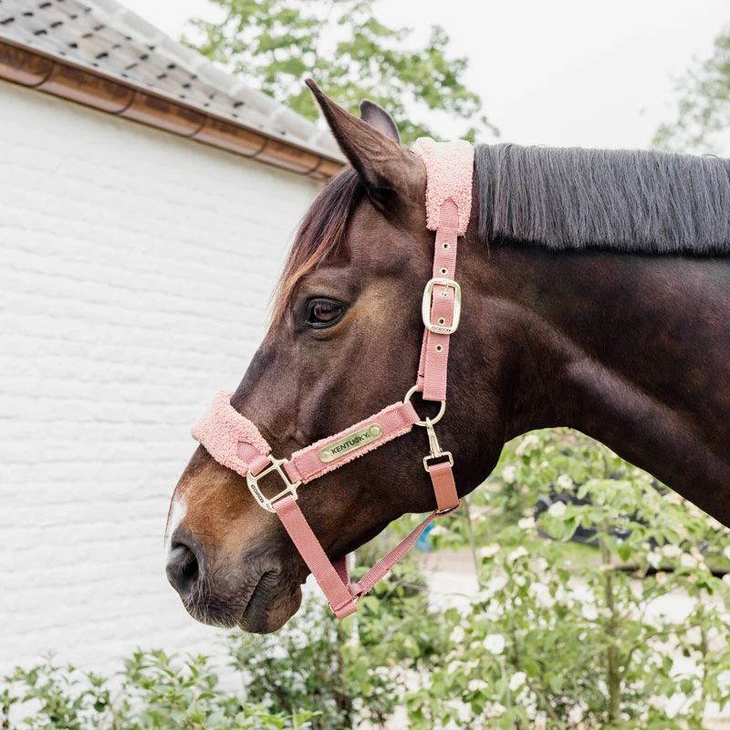 Kentucky Horsewear Teddy Fleece Head Collar Old Rose UK | Just Equine 2 Kentucky Horsewear Teddy Fleece Head Collar Old Rose UK | Just Equine - Image 2