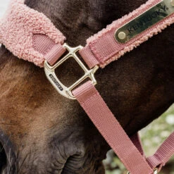 Kentucky Horsewear Teddy Fleece Head Collar Old Rose UK | Just Equine 5 Kentucky Horsewear Teddy Fleece Head Collar Old Rose UK | Just Equine -Horse Haven Shop Kentucky Horsewear Teddy Fleece Head Collar Old Rose 2
