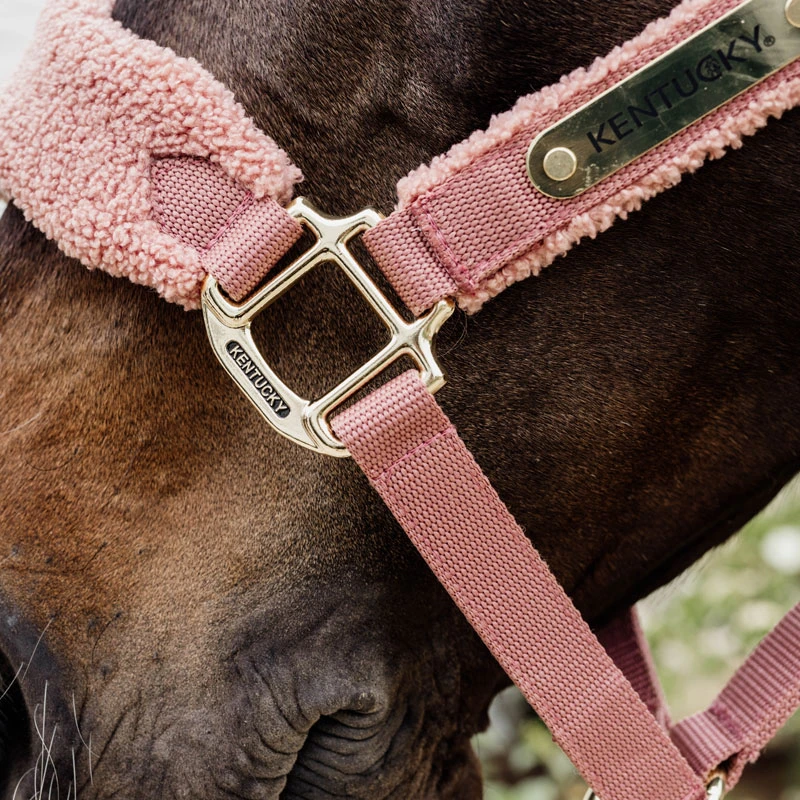 Kentucky Horsewear Teddy Fleece Head Collar Old Rose UK | Just Equine 3 Kentucky Horsewear Teddy Fleece Head Collar Old Rose UK | Just Equine - Image 3