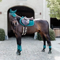 Kentucky Tendon Boots Bamboo Shield Elastic UK | Just Equine 24 Kentucky Tendon Boots Bamboo Shield Elastic UK | Just Equine -Horse Haven Shop Kentucky Horsewear Tendon Boots Bamboo Shield Elastic Emerald 3