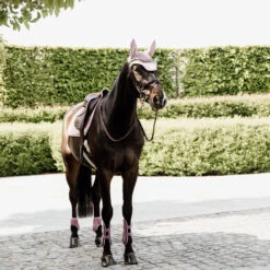 Kentucky Tendon Boots Bamboo Shield Elastic UK | Just Equine 23 Kentucky Tendon Boots Bamboo Shield Elastic UK | Just Equine -Horse Haven Shop Kentucky Horsewear Tendon Boots Bamboo Shield Elastic Pink 2