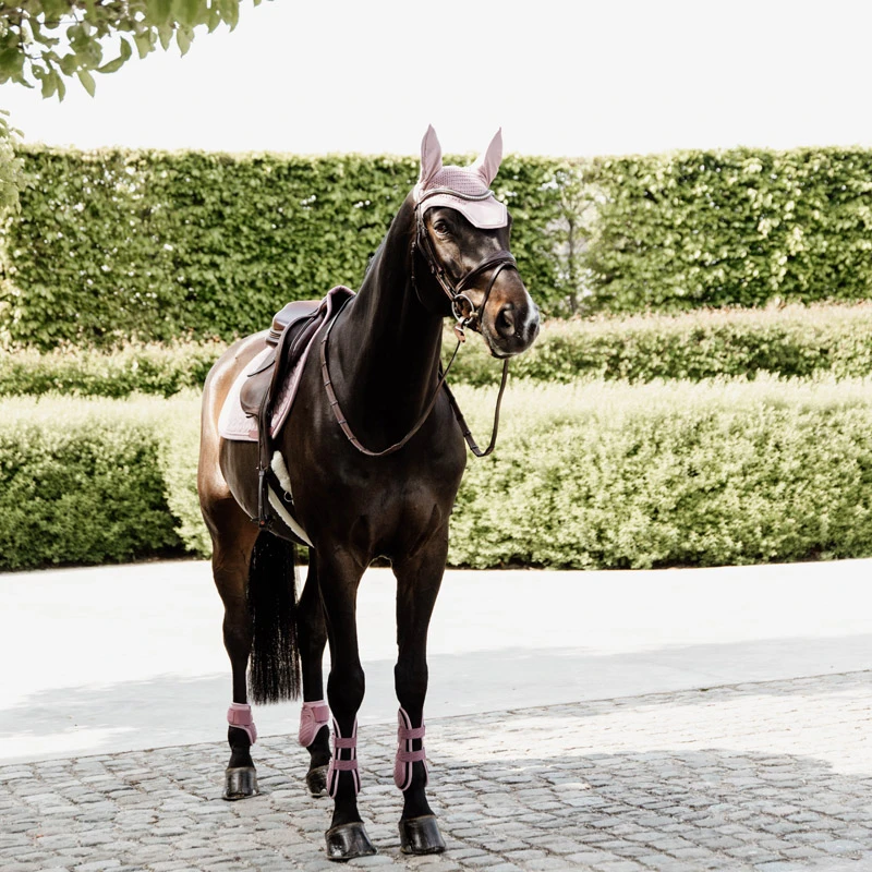 Kentucky Tendon Boots Bamboo Shield Elastic UK | Just Equine 11 Kentucky Tendon Boots Bamboo Shield Elastic UK | Just Equine - Image 11