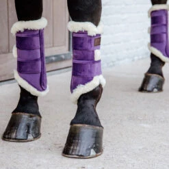 Kentucky Horsewear Velvet Contrast Brushing Boots - Purple -Horse Haven Shop Kentucky Horsewear Velvet Contrast Brushing Boots Purple 1