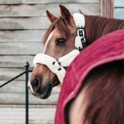 NEW Kentucky Horsewear Velvet Show Rug - Bordeaux UK | Just Equine -Horse Haven Shop Kentucky Horsewear Velvet Show Rug Bordeaux 1
