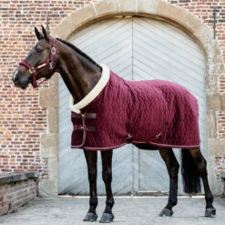 NEW Kentucky Horsewear Velvet Show Rug - Bordeaux UK | Just Equine