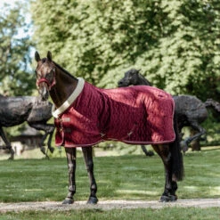NEW Kentucky Horsewear Velvet Show Rug - Bordeaux UK | Just Equine -Horse Haven Shop Kentucky Horsewear Velvet Show Rug Bordeaux 7