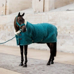 Kentucky Horsewear Velvet Show Rug - Emerald UK | Just Equine
