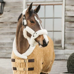 Kentucky Horsewear Velvet Show Rug - Mustard UK | Just Equine
