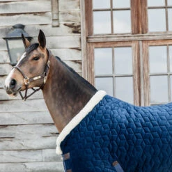 Kentucky Horsewear Velvet Show Rug - Navy UK | Just Equine -Horse Haven Shop Kentucky Horsewear Velvet Show Rug Navy 2