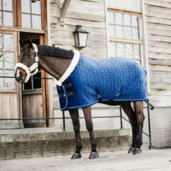 Kentucky Horsewear Velvet Show Rug - Navy UK | Just Equine