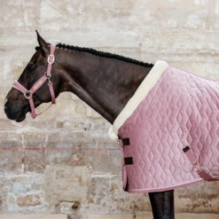 Kentucky Horsewear Velvet Show Rug - Old Rose UK | Just Equine -Horse Haven Shop Kentucky Horsewear Velvet Show Rug Pink 1